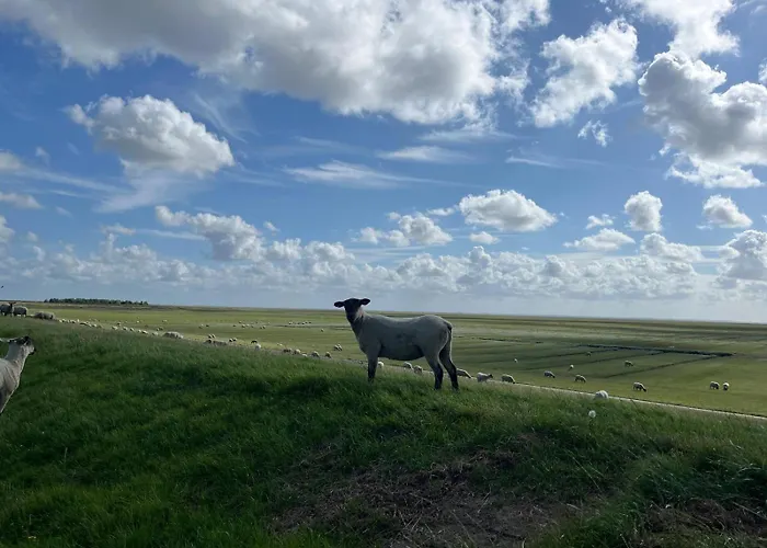 Frieda - Ferienwohnung Mit Deichblick